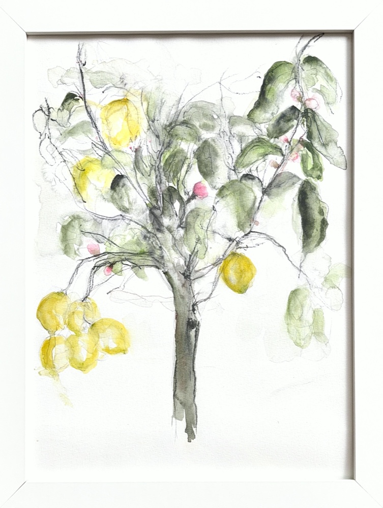 Citrus blossom (Pastoral)