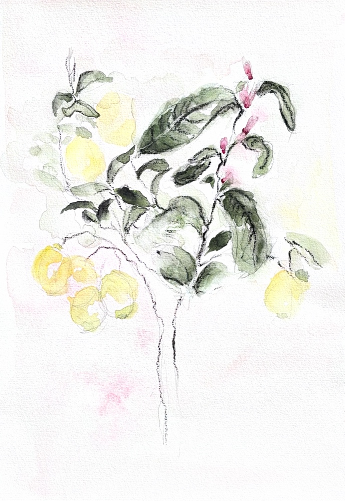 Florale / Floral