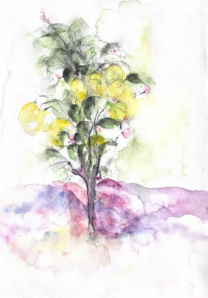 Terre violette / Violet Earth